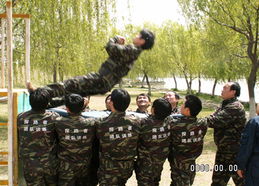 徐州拓展訓(xùn)練價(jià)格、型號(hào)規(guī)格與服務(wù)選購(gòu)全指南